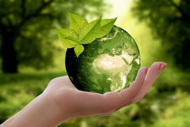 Sustainable Living: Practical Ways to Reduce Your Environmental Footprint Every Day